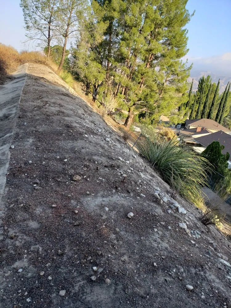 Reliable outdoor landscaping for outdoor upgrades in Santa Clarita, CA by Omar Landscaping Service