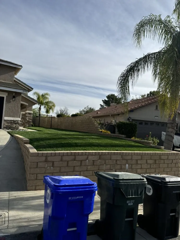 Reliable residential landscaping in Santa Clarita, CA by Omar Landscaping Service