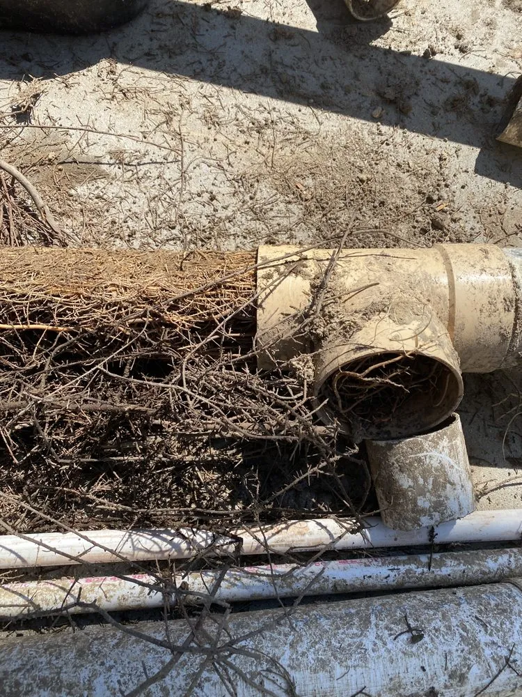 Local garden landscaping for outdoor upgrades in Santa Clarita, CA by Omar Landscaping Service