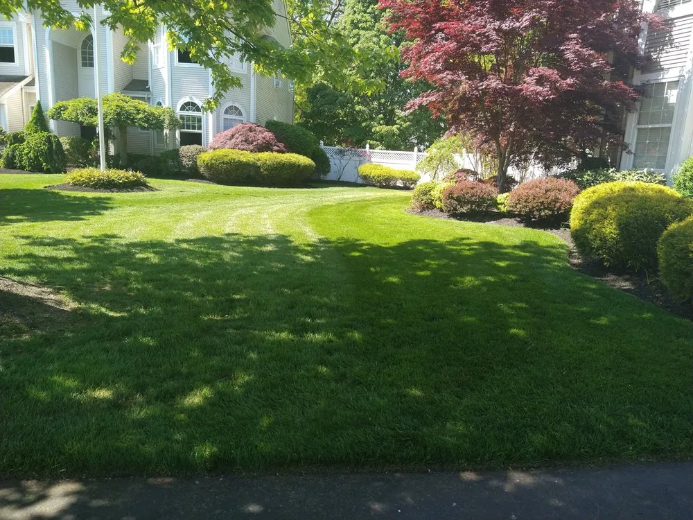 Affordable yard cleanup service for year-round maintenance in Toms River, NJ by Omar Lawn Care & Landscaping