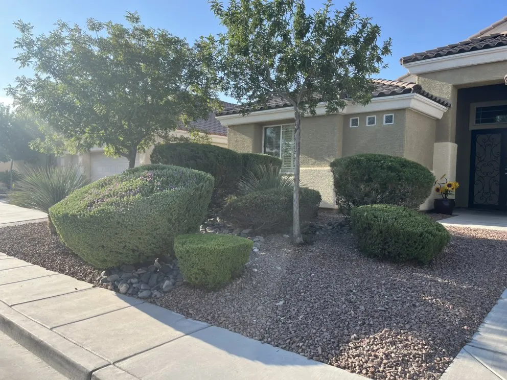 Trusted outdoor landscaping near you in Las Vegas, NV by Omar Lawn Care