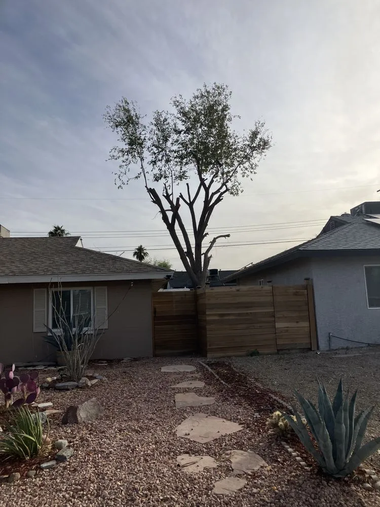 Local landscaping services in Las Vegas, NV by Omar Lawn Care