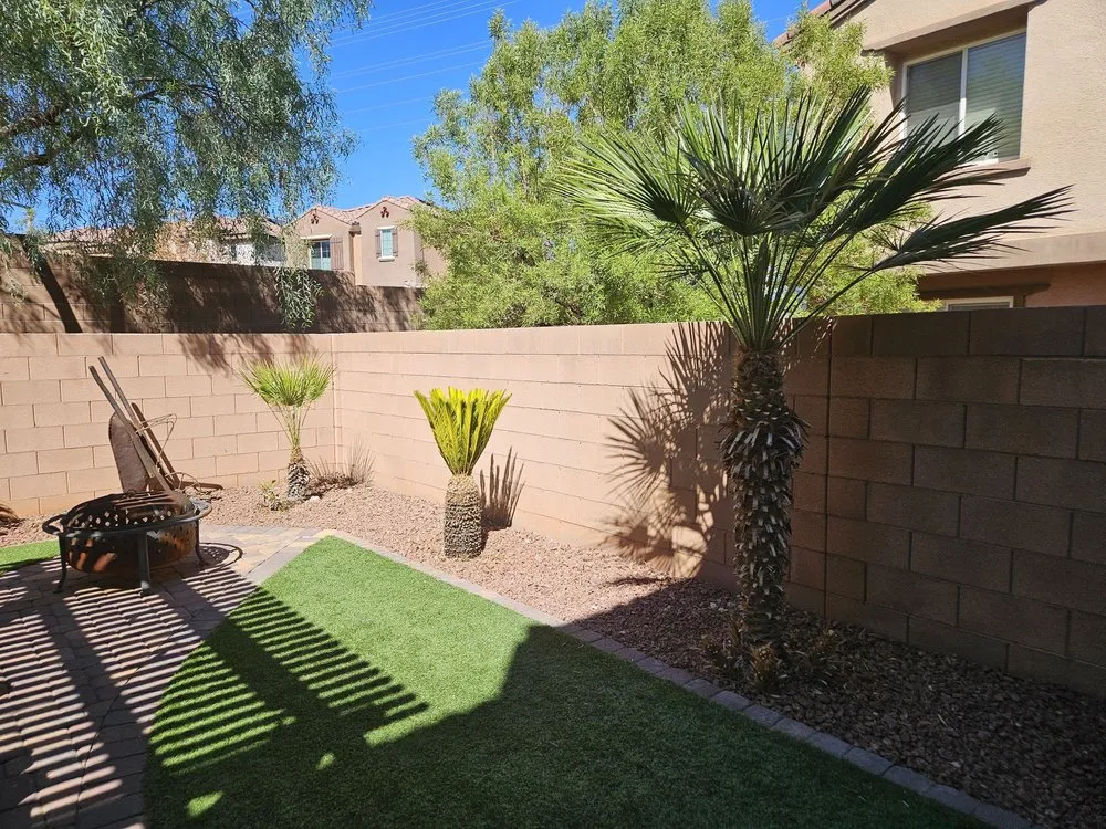 Trusted yard cleanup service for year-round maintenance in Las Vegas, NV by Omar Lawn Care