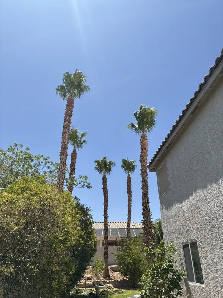 Local landscaping services experts serving Las Vegas, NV - Omar Lawn Care