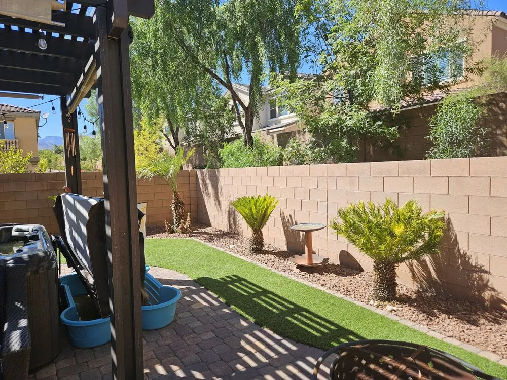 Custom yard cleanup service for year-round maintenance across Las Vegas, NV - Omar Lawn Care