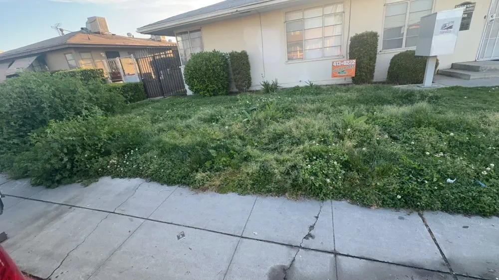 Trusted lawn care service in Fresno, CA by Omar lawn service