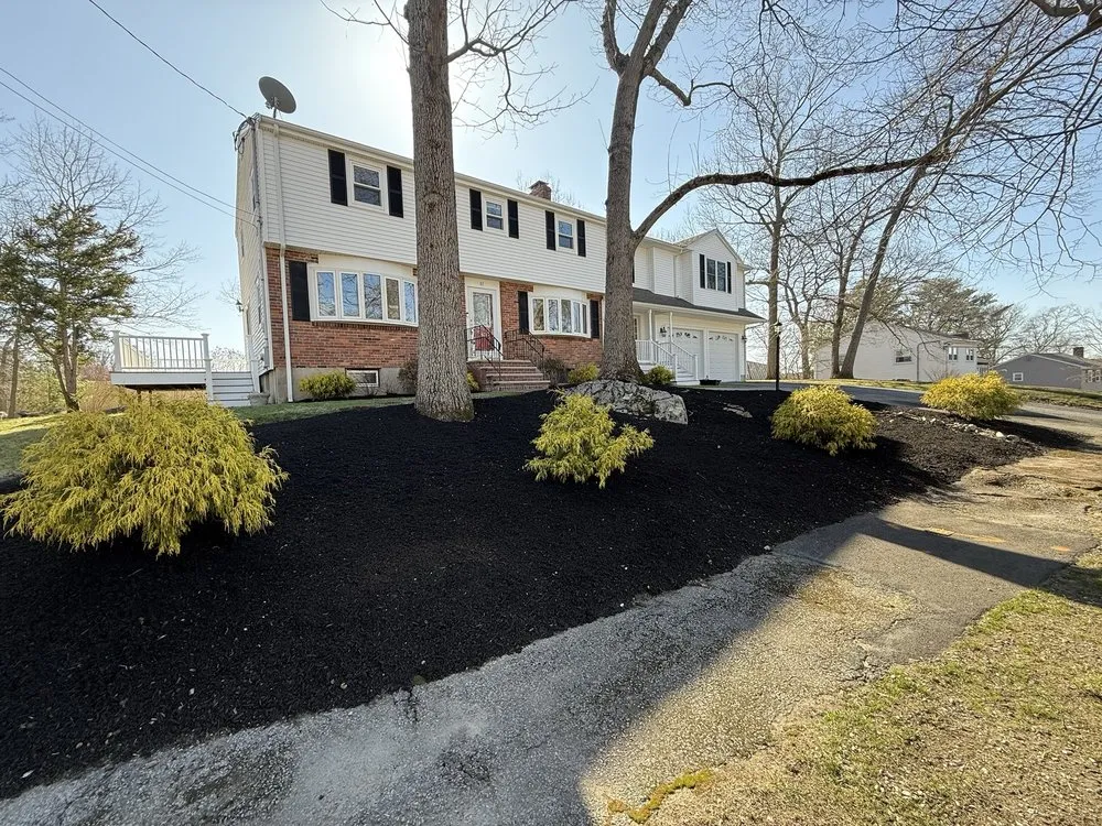 Expert yard maintenance experts serving Dedham, MA - Omar Masonry And Painting