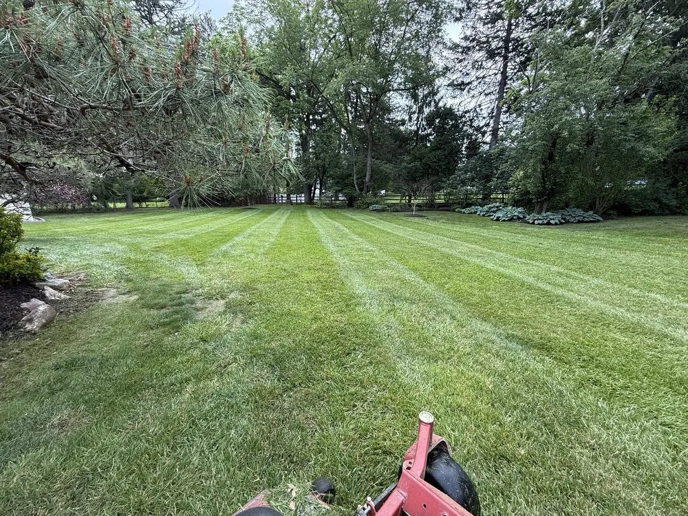 Expert landscape design in King of Prussia, PA by Omar The Lawn guy