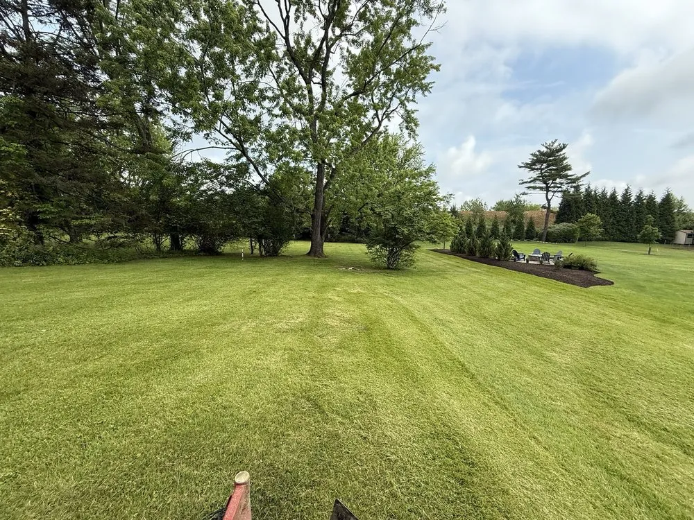 Professional outdoor landscaping in King of Prussia, PA by Omar The Lawn guy