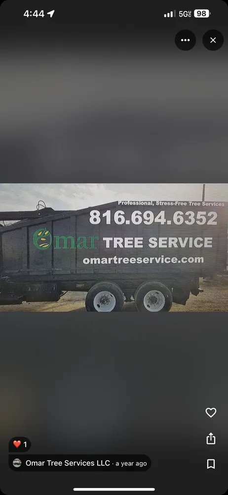 Local yard maintenance experts serving Kansas City, MO - Omar Tree Services