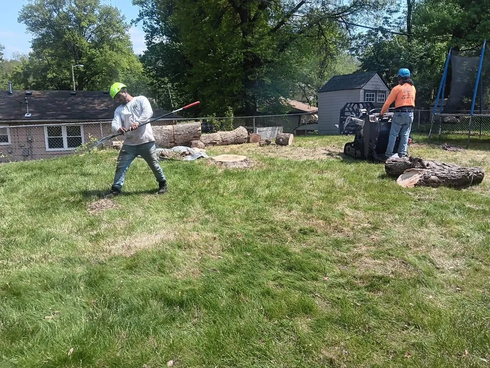 Trusted landscape design for year-round maintenance across Kansas City, MO - Omar Tree Services
