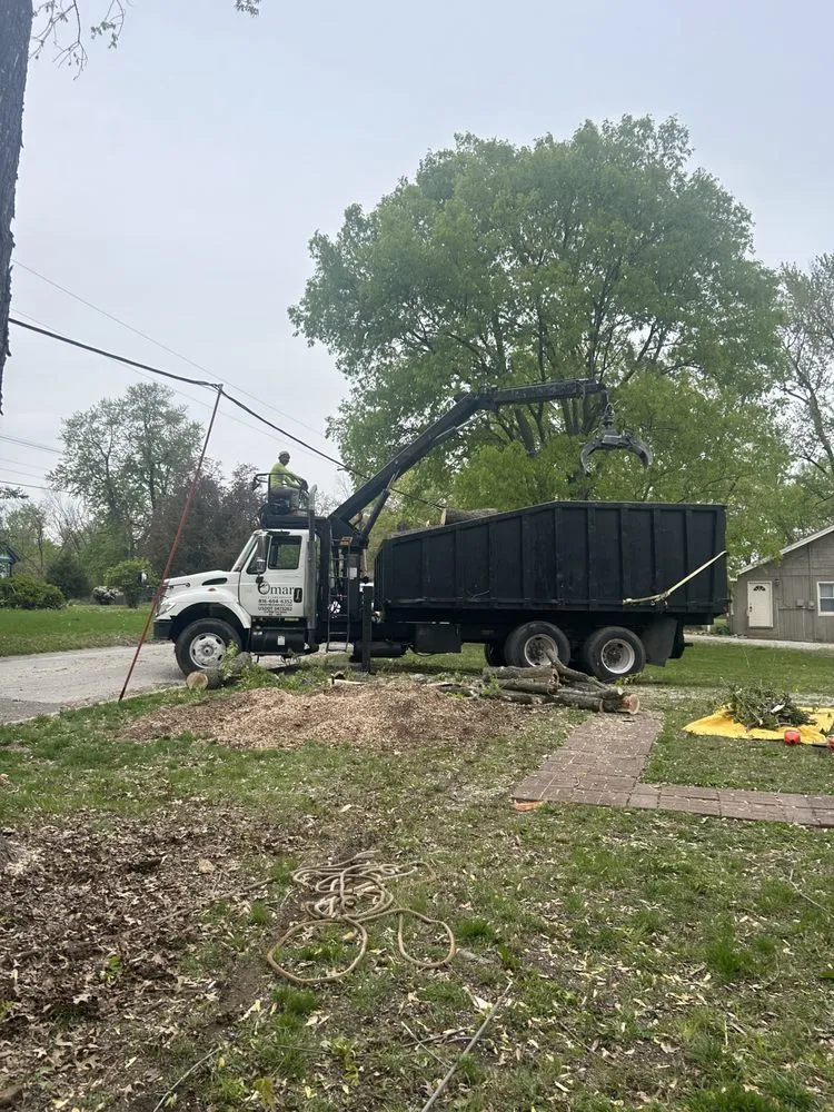 Trusted yard cleanup service in Kansas City, MO by Omar Tree Services