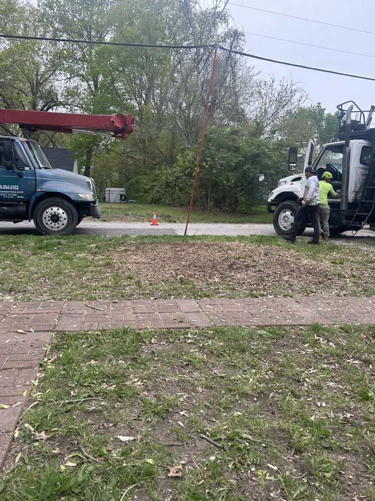 Custom landscape design in Kansas City, MO - Omar Tree Services