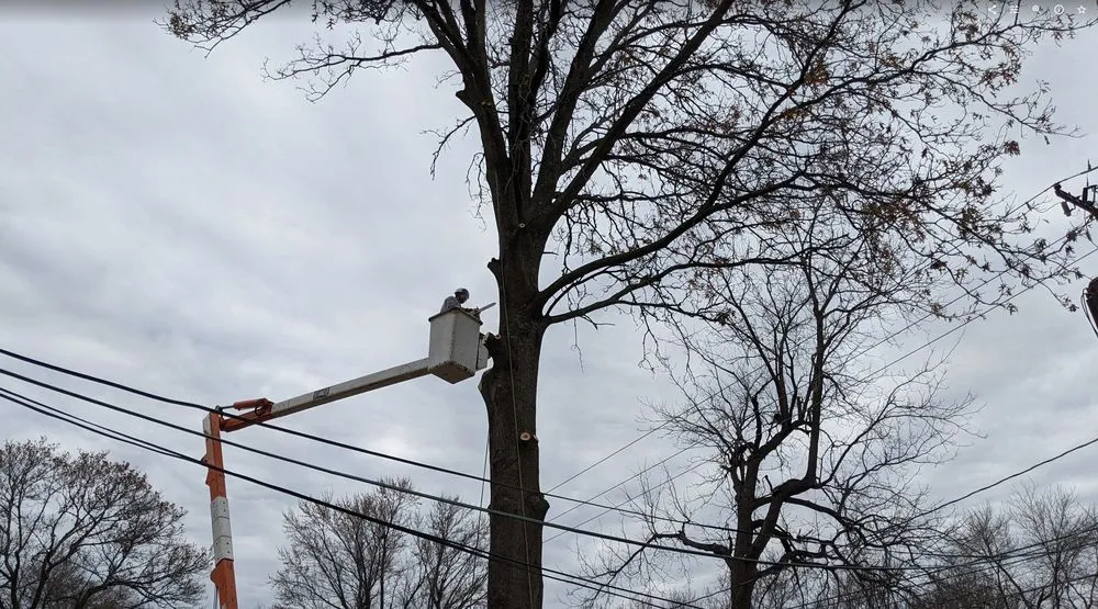 Professional garden landscaping in Kansas City, MO by Omar Tree Services