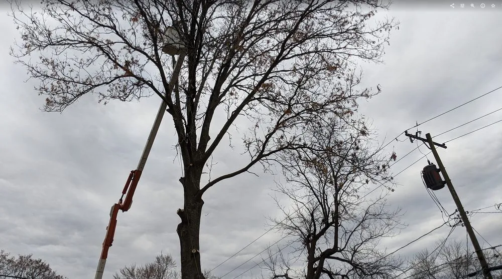 Custom landscape design for homes in Kansas City, MO by Omar Tree Services