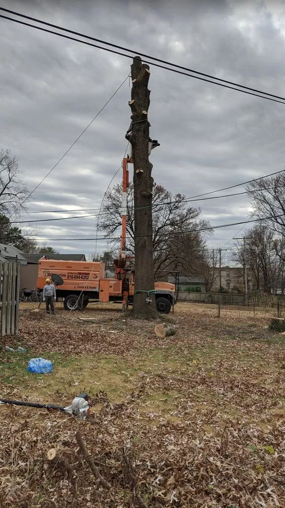 Top-rated lawn care service in Kansas City, MO - Omar Tree Services