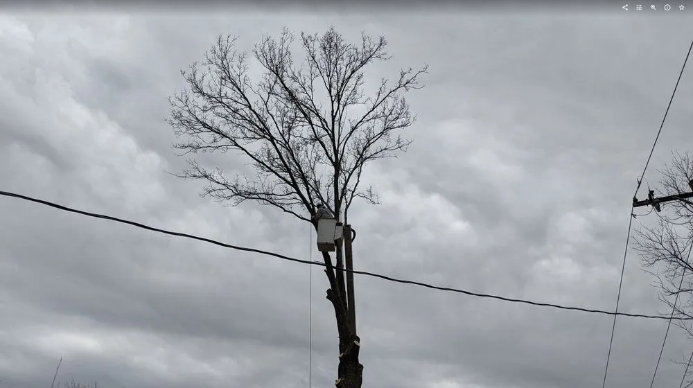 Trusted yard maintenance for residential properties across Kansas City, MO - Omar Tree Services