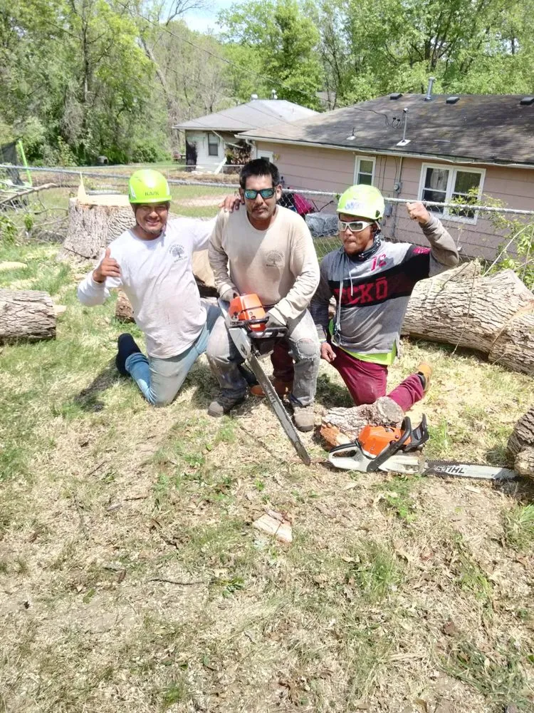 Local landscaping services in Kansas City, MO - Omar Tree Services