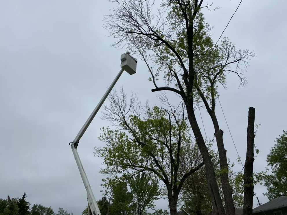 Trusted landscaping services near you across Kansas City, MO - Omar Tree Services