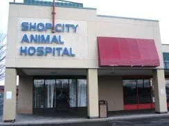 Top-rated yard maintenance with custom design in Kansas City, MO by Omar Tree Services