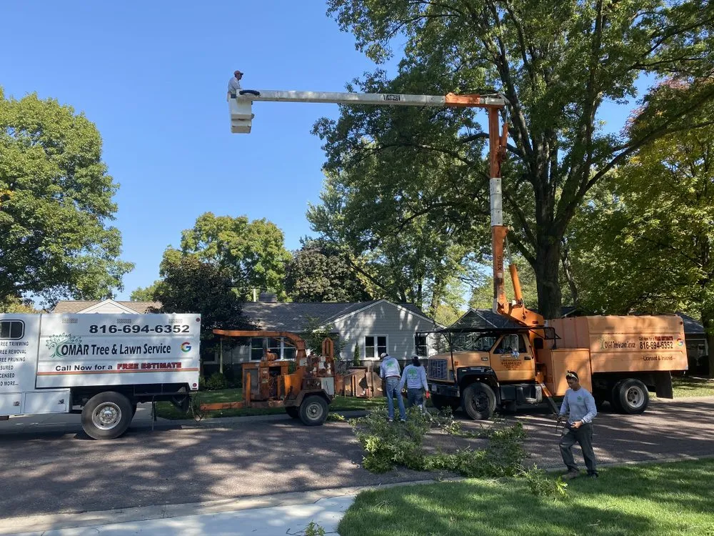 Affordable yard maintenance experts serving Kansas City, MO - Omar Tree Services