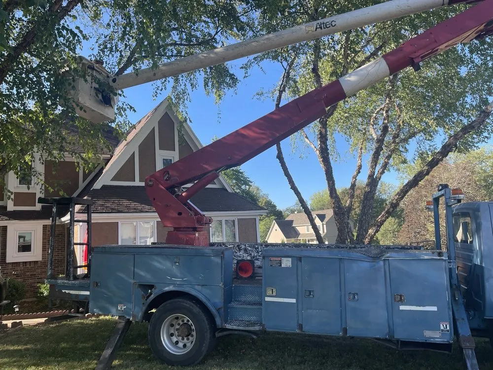 Reliable lawn mowing service in Kansas City, MO - Omar Tree Services