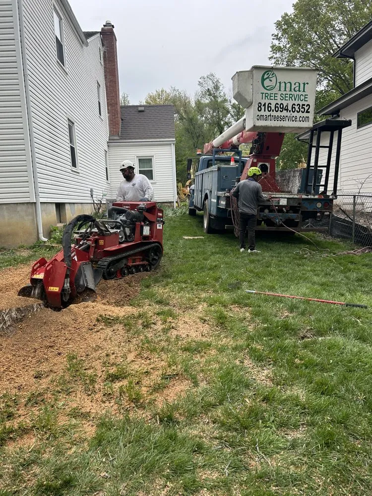 Expert lawn care service experts serving Kansas City, MO - Omar Tree Services