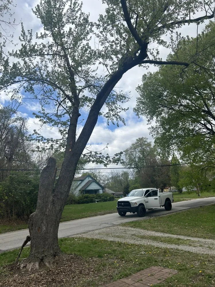 Reliable landscape design experts serving Kansas City, MO - Omar Tree Services