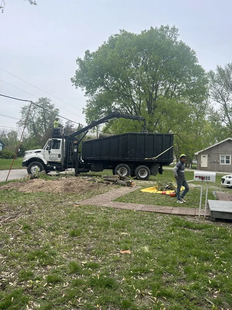 Custom landscape installation for year-round maintenance across Kansas City, MO - Omar Tree Services
