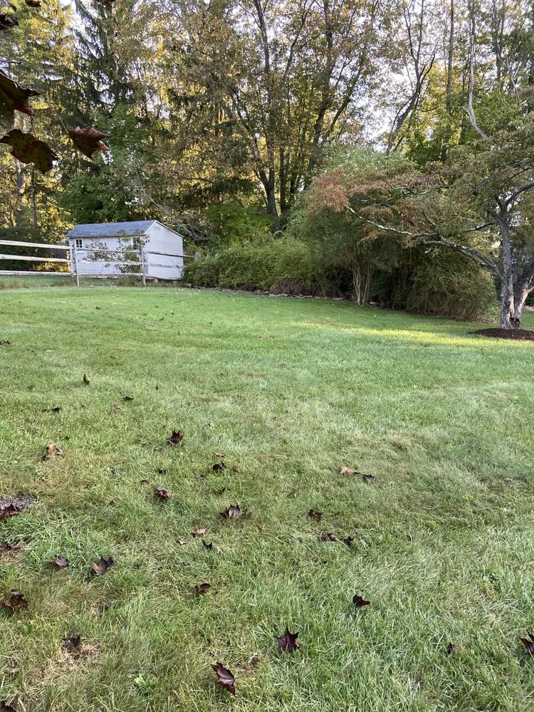 Trusted yard maintenance in Bernardsville, NJ by O.Marroquín