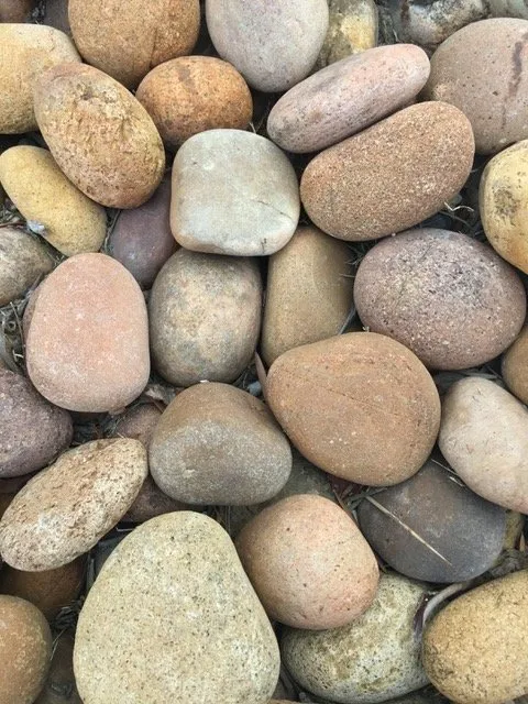 Trusted yard maintenance experts serving Lake Forest, CA - Omar's Gardening Service