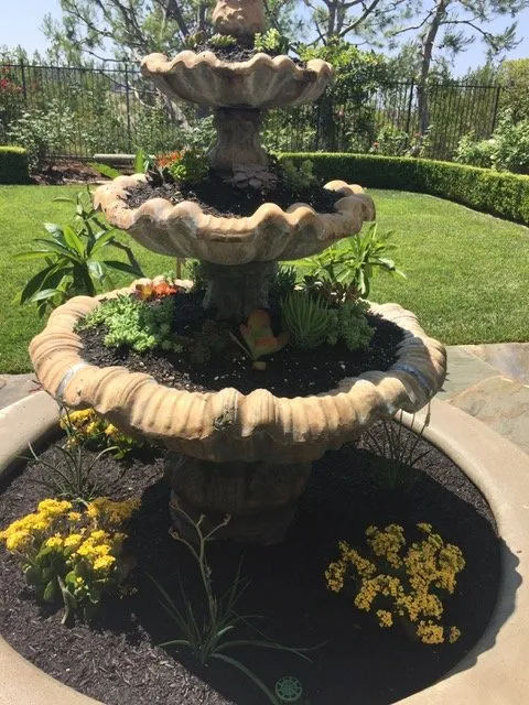 Professional landscape design experts serving Lake Forest, CA - Omar's Gardening Service