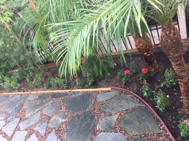 Affordable yard maintenance in Lake Forest, CA by Omar's Gardening Service