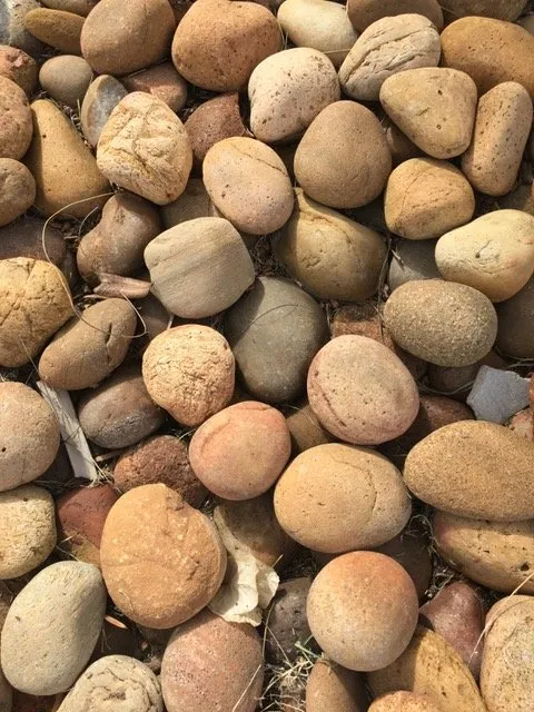 Reliable residential landscaping for beautiful yards across Lake Forest, CA - Omar's Gardening Service