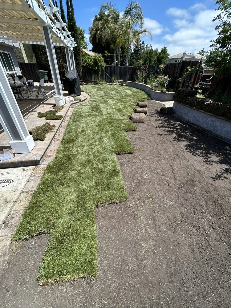 Trusted landscape design experts serving Morgan Hill, CA - Omar’s Landscape