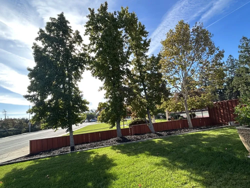 Local garden landscaping in Morgan Hill, CA by Omar’s Landscape