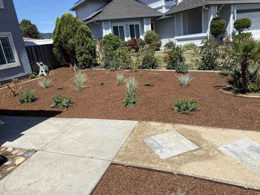 Trusted lawn care service experts serving Morgan Hill, CA - Omar’s Landscape