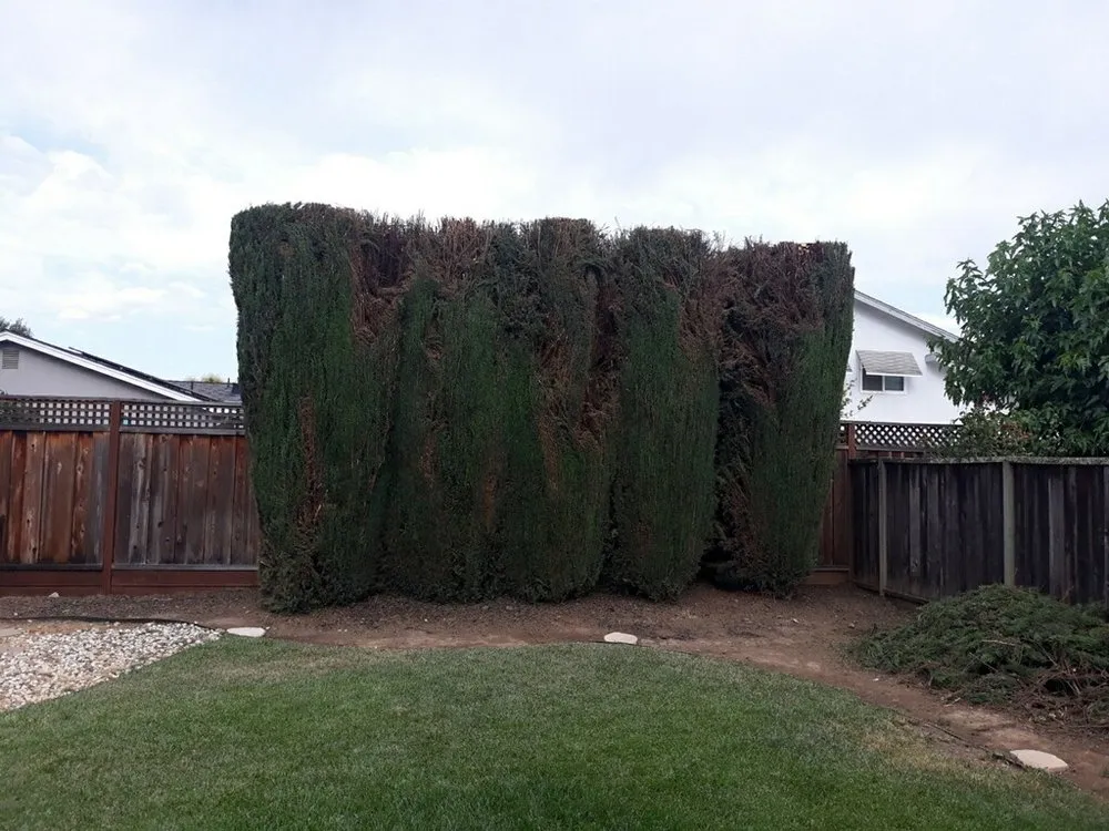 Reliable landscape installation near you across Morgan Hill, CA - Omar’s Landscape