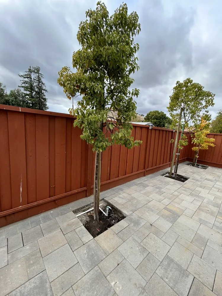 Reliable outdoor landscaping in Morgan Hill, CA - Omar’s Landscape