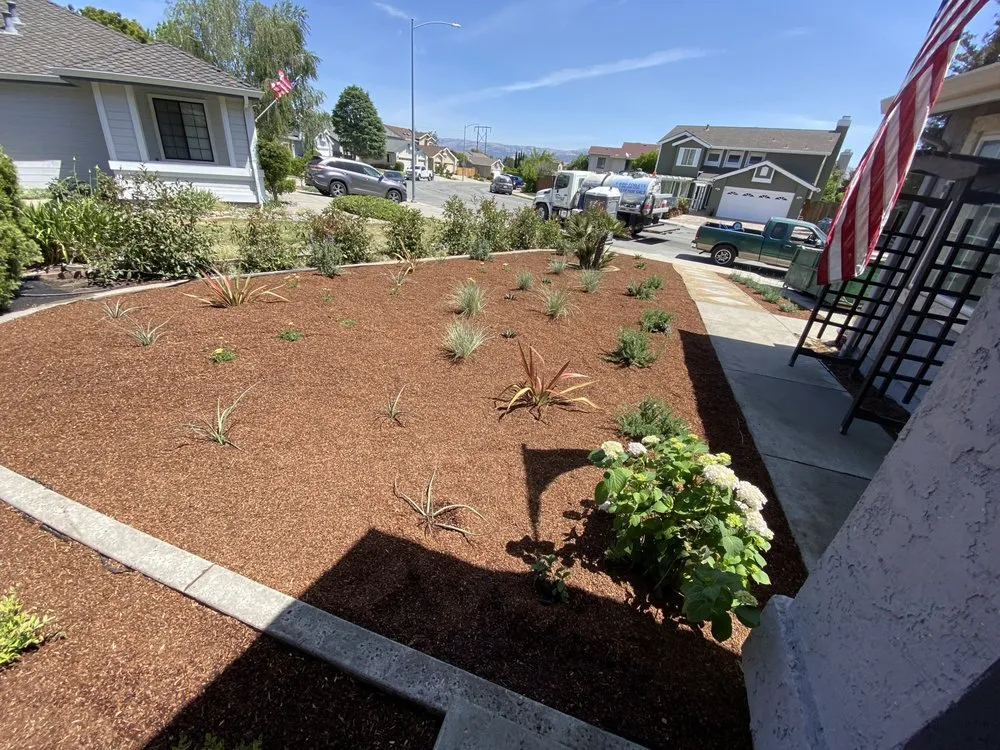 Top-rated yard maintenance in Morgan Hill, CA by Omar’s Landscape