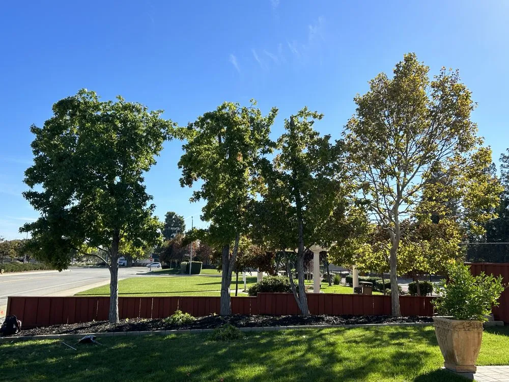 Expert landscape installation in Morgan Hill, CA by Omar’s Landscape