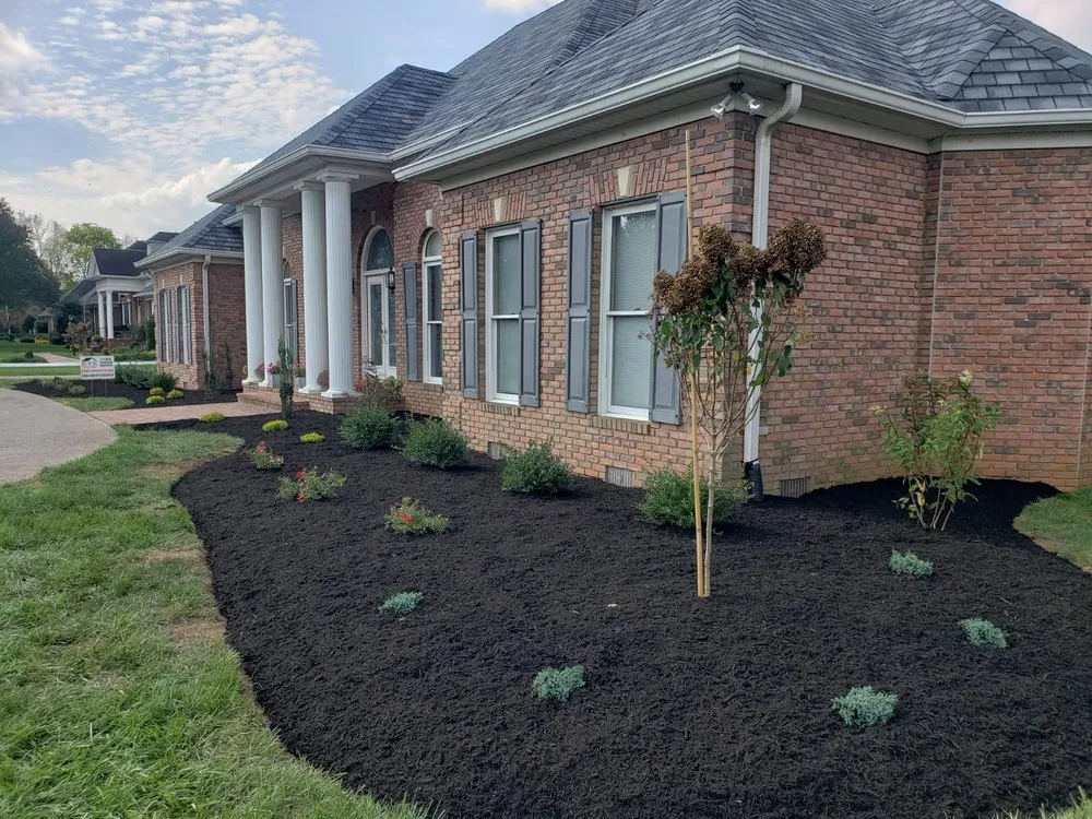 Reliable lawn care service in Bowling Green, KY - Omar´s Landscaping