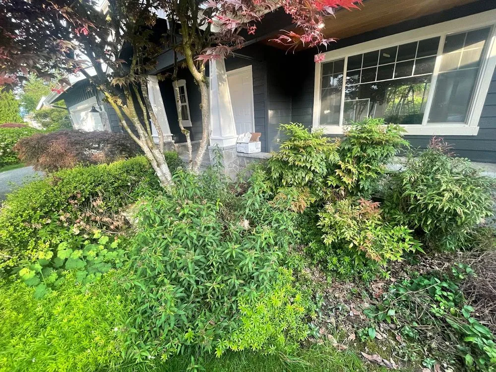 Local lawn mowing service in Everett, WA - Omar’s Landscaping