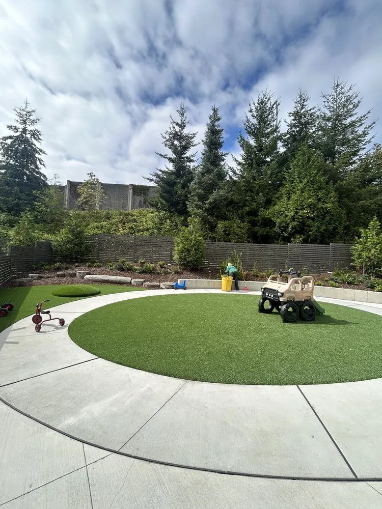 Trusted yard cleanup service for beautiful yards across Everett, WA - Omar’s Landscaping