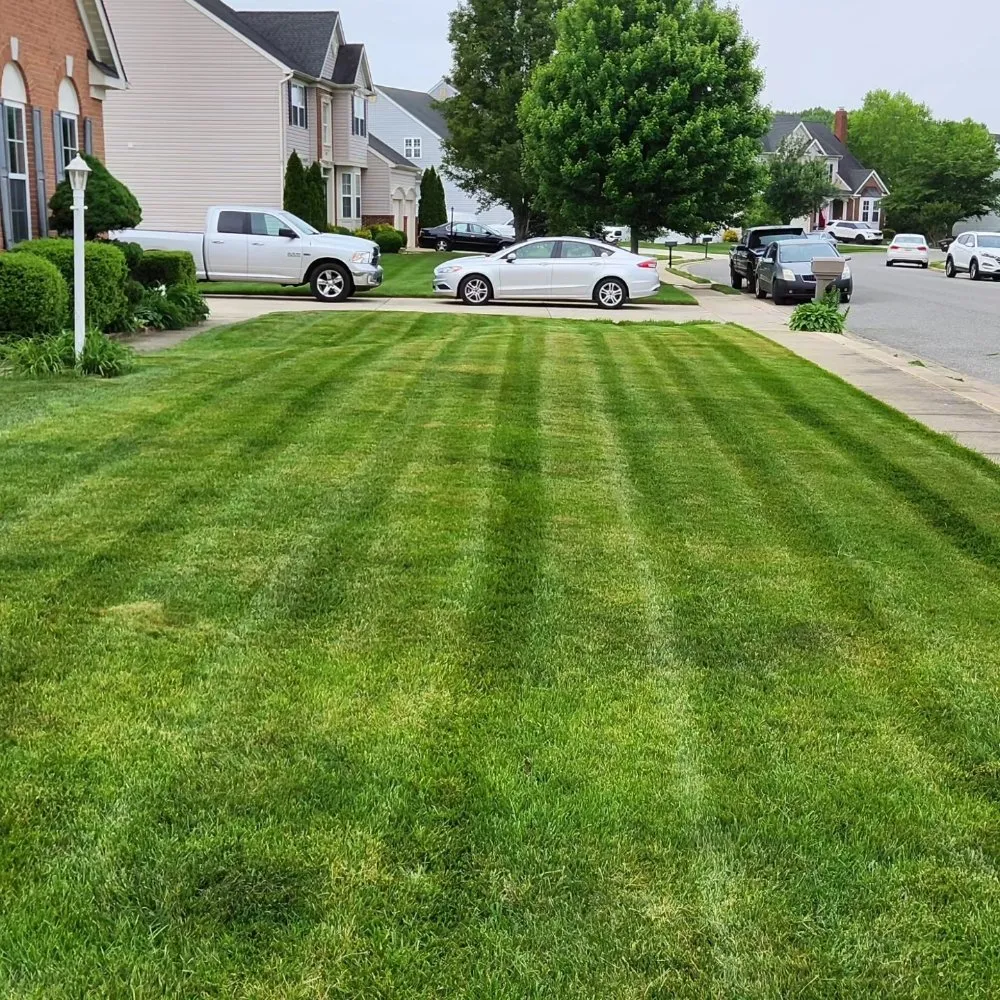 Professional lawn care service in Saint Charles, MD by Omar's Lawn Care