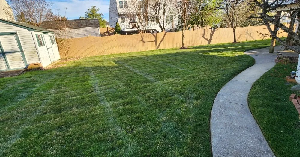 Reliable yard maintenance with custom design in Saint Charles, MD by Omar's Lawn Care