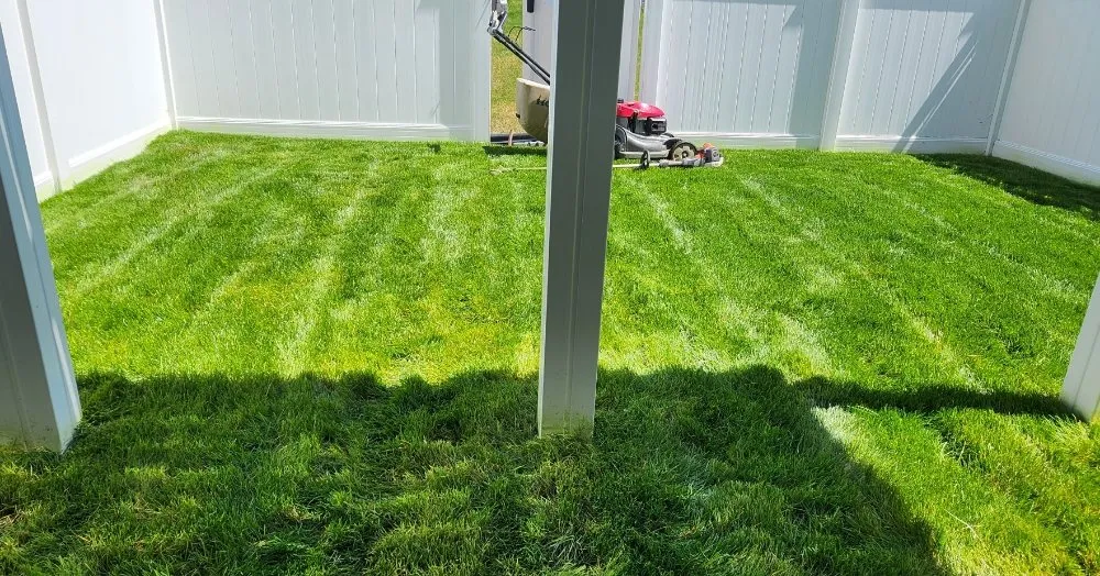 Top-rated lawn mowing service experts serving Saint Charles, MD - Omar's Lawn Care