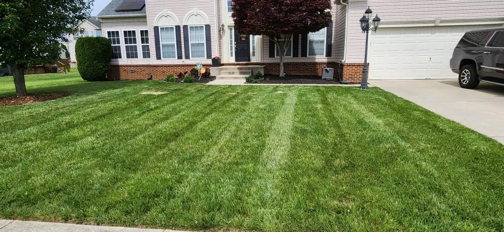 Top-rated yard maintenance experts serving Saint Charles, MD - Omar's Lawn Care