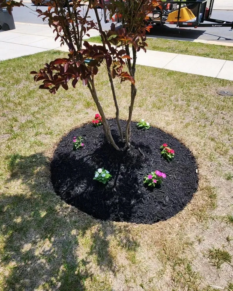 Trusted lawn mowing service for year-round maintenance in Saint Charles, MD by Omar's Lawn Care