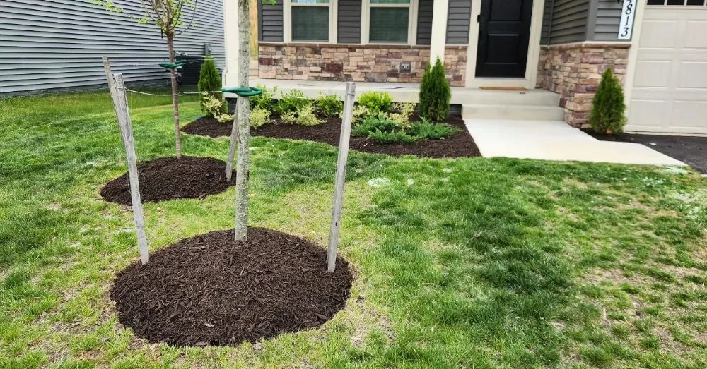 Top-rated lawn care service for year-round maintenance across Saint Charles, MD - Omar's Lawn Care